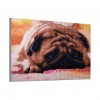 Lazy Dog - Special Diamond Painting