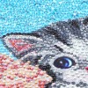 Cat on Beach - Special Diamond Painting