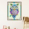 Purple Owl - Special Diamond Painting
