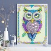 Purple Owl - Special Diamond Painting