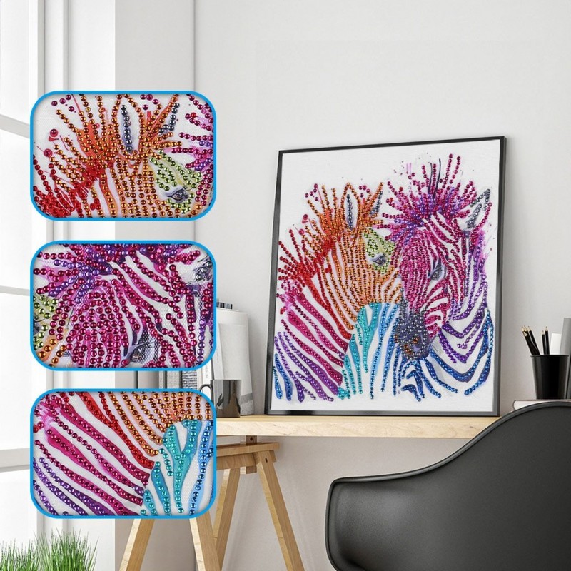 Zebra's Colorful Str...