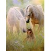 White & Brown Horses Diamond Paintings