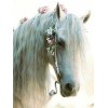 White & Brown Horses Diamond Paintings