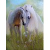 White & Brown Horses Diamond Paintings