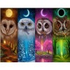 Colorful Night Owls Diamond Painting