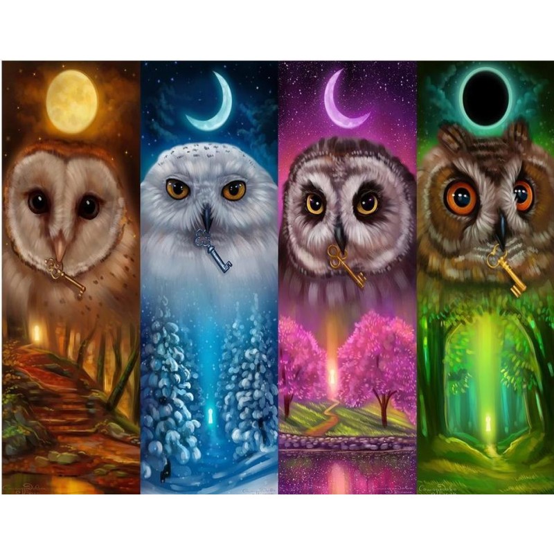 Colorful Night Owls ...