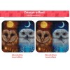 Colorful Night Owls Diamond Painting