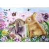 Cute Rabbits & Flowers
