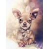 Cute Little Dog Diamond Painting