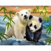 Cute Baby Panda & Bear