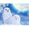 Huge White Snow Owls