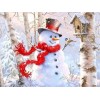 Delighted Snowman Diamond Painting Collections