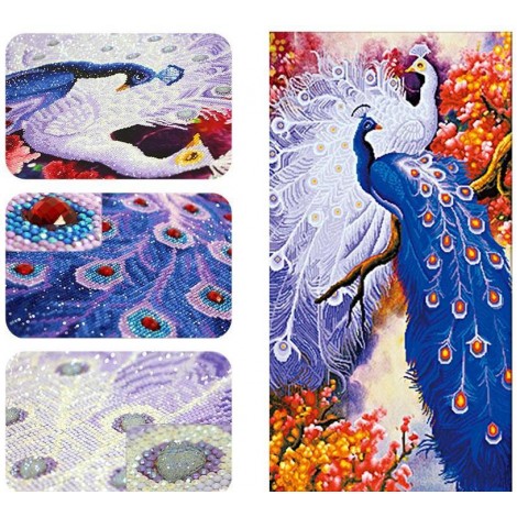 Special Shaped Peacock Paint by Diamonds
