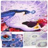 Special Shaped Peacock Paint by Diamonds