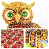 Colorful Special Shaped Owl Diamond Painting Kit