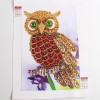 Colorful Special Shaped Owl Diamond Painting Kit