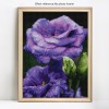 Romantic Rose Painting Kits