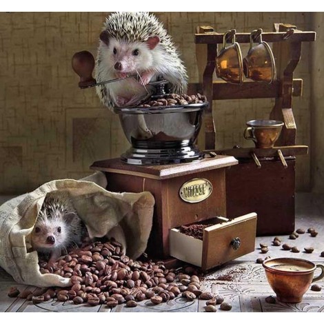 Hedgehogs with the Coffee