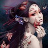 Asian Beauty Diamond Art Kit