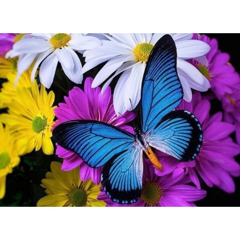 Butterfly Diamond Painting Kit