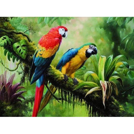 Parrots in Forest DIY Painting