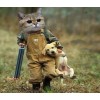 Funny Cat with Gun Carrying the Dog