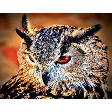 Furious Owl - Diamond Art Kit