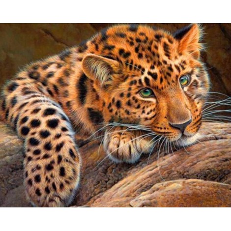 Stunning Cheetah Diamond Painting Kit