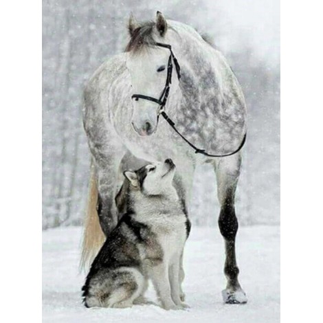 Wolf & Horse in Snow - DIY Painting Kit