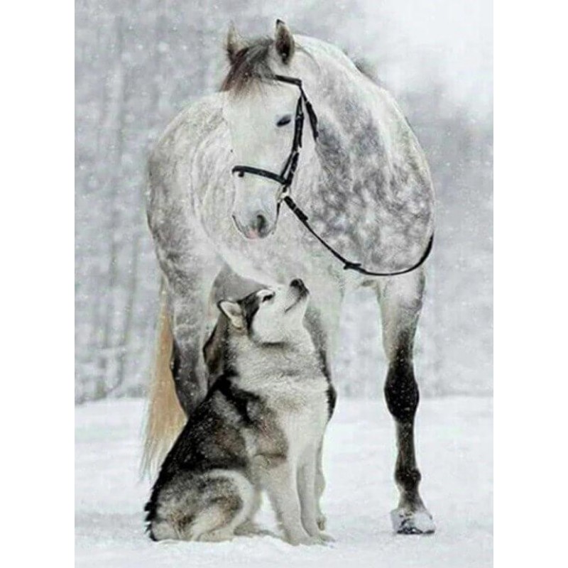 Wolf & Horse in Snow...