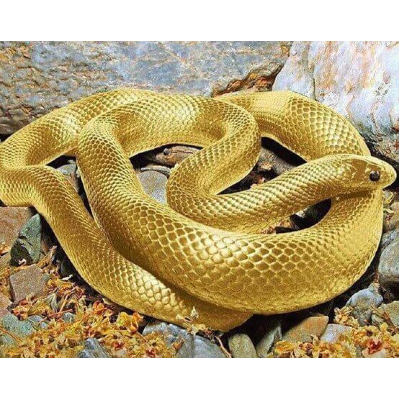 Vicious Golden Snake...