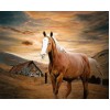 Beautiful Horse & Landscape Painting Kit