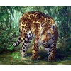 Forest Leopard - Diamond Art Kit