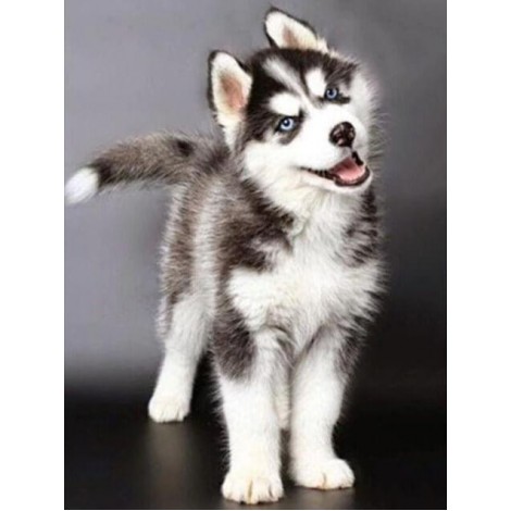 Splendid Husky Diamond Painting Kit