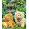 Rats & Kittens Diamond Painting Kit