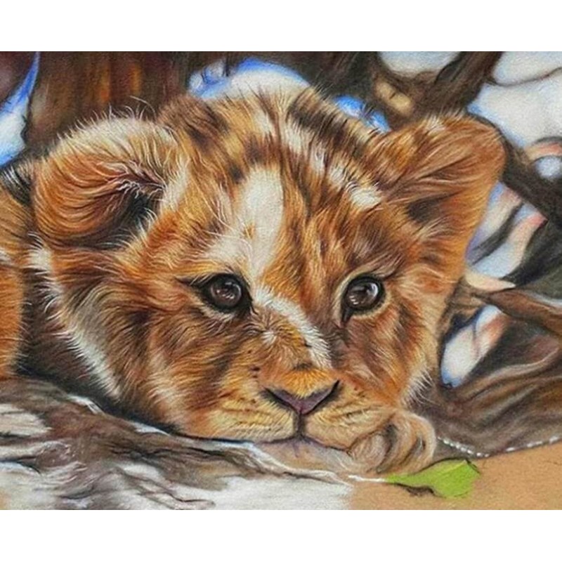 Stunning Little Lion...
