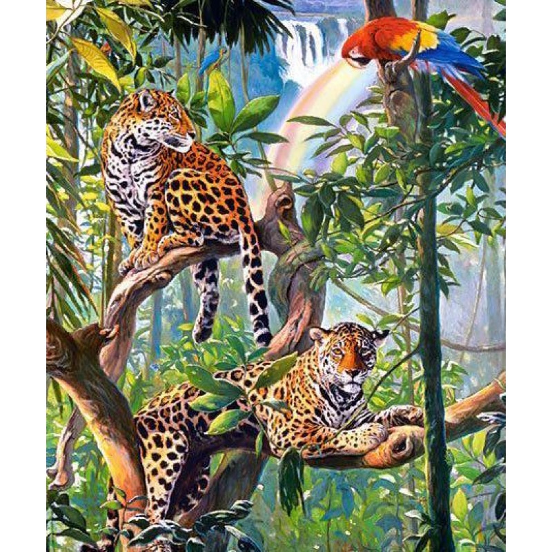 Leopards & Parrots -...