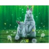 Tigers & Rabbits Diamond Art Collection