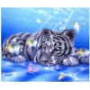 Tigers & Rabbits Diamond Art Collection