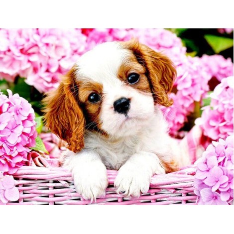 Sweet Puppy & Pink Flowers