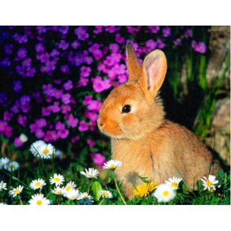 Flowers & Rabbits Painting Kit