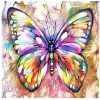 Amazing Butterfly Diamond Art Kit
