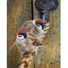 Birds on Rope Painting Kit