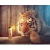 Amazing Girl & Mighty Tiger Painting Kit