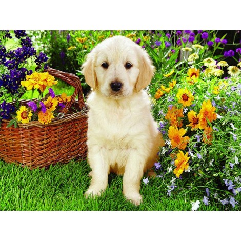 Cute Dog & Flowers Basket