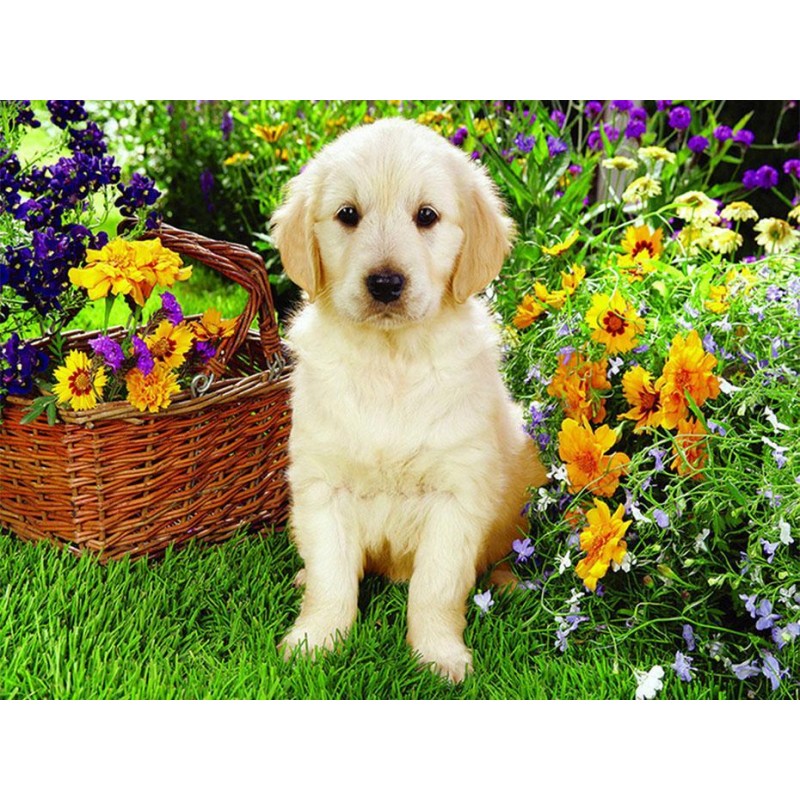 Cute Dog & Flowers B...