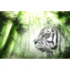 Green Forest Tiger Face - Diamond Art