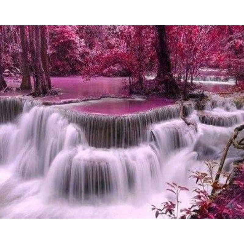 Pink Forest & Waterf...