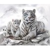 Little White Tiger with Mother