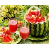 Watermelon Art Diamond Painting Kit